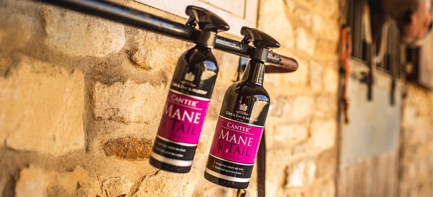 Le duo de rêve parfait : Carr & Day & Martin Mane & Tail & Dream Coat