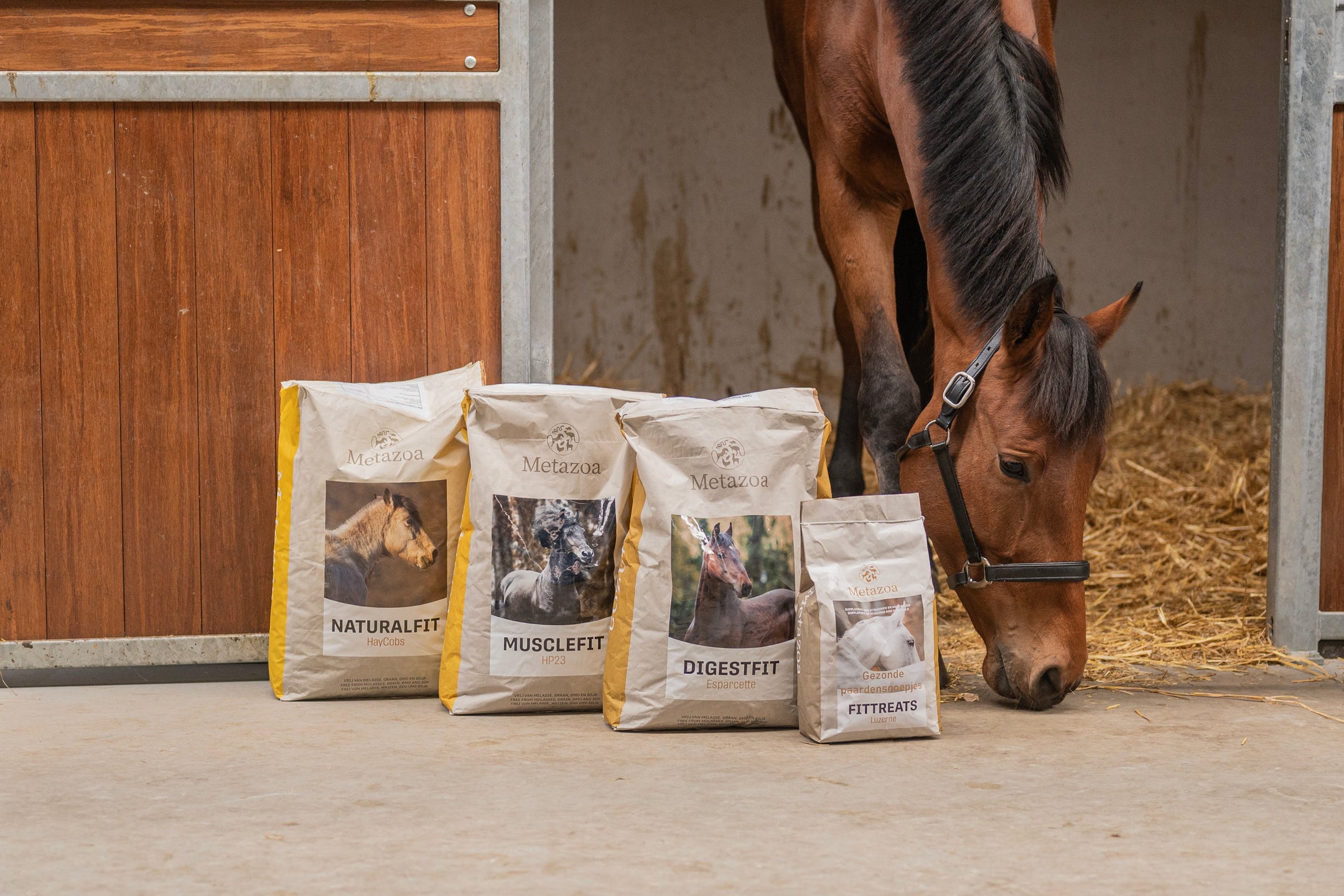 Metazoa: Exactement ce dont votre cheval a besoin.