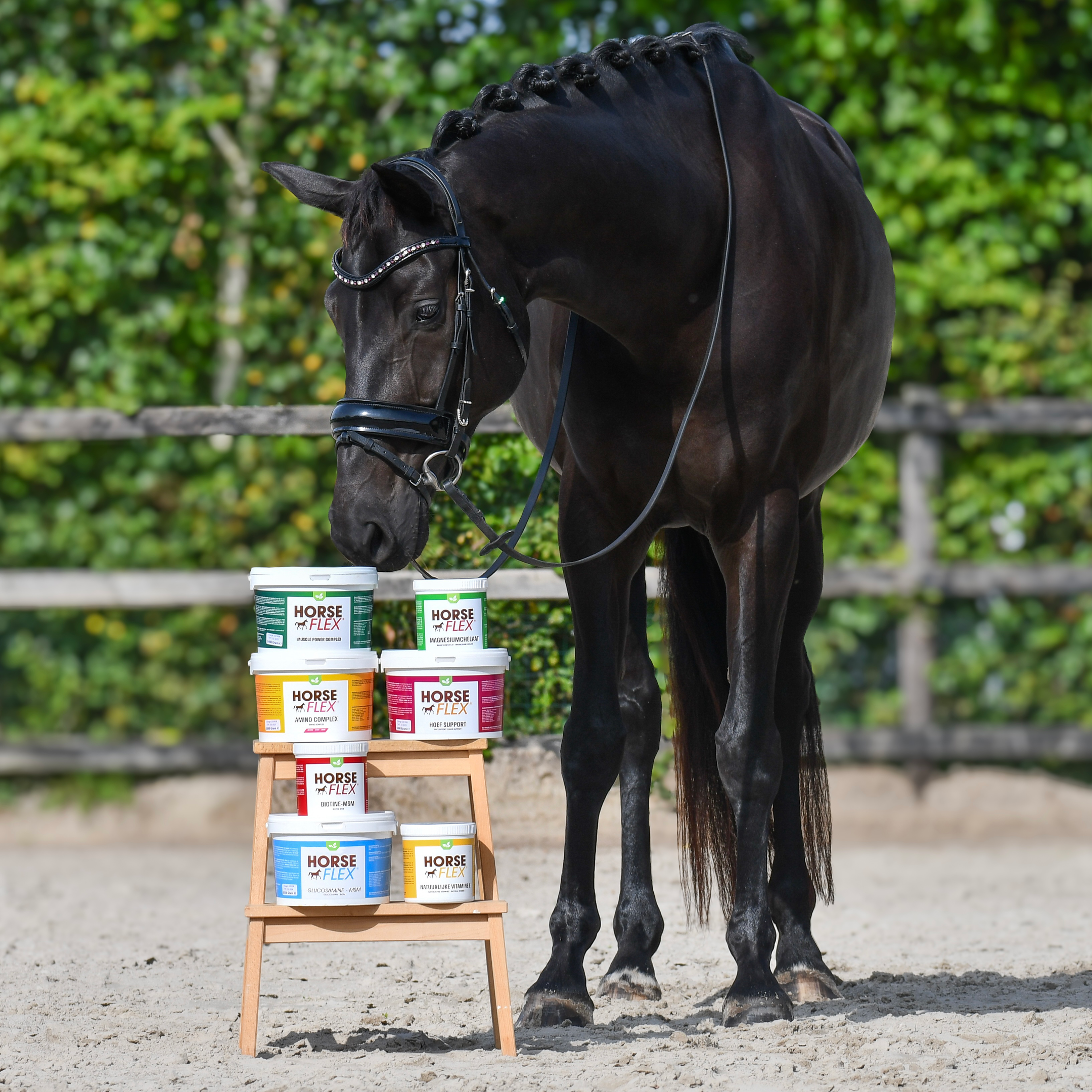 Tout sur les compléments alimentaires