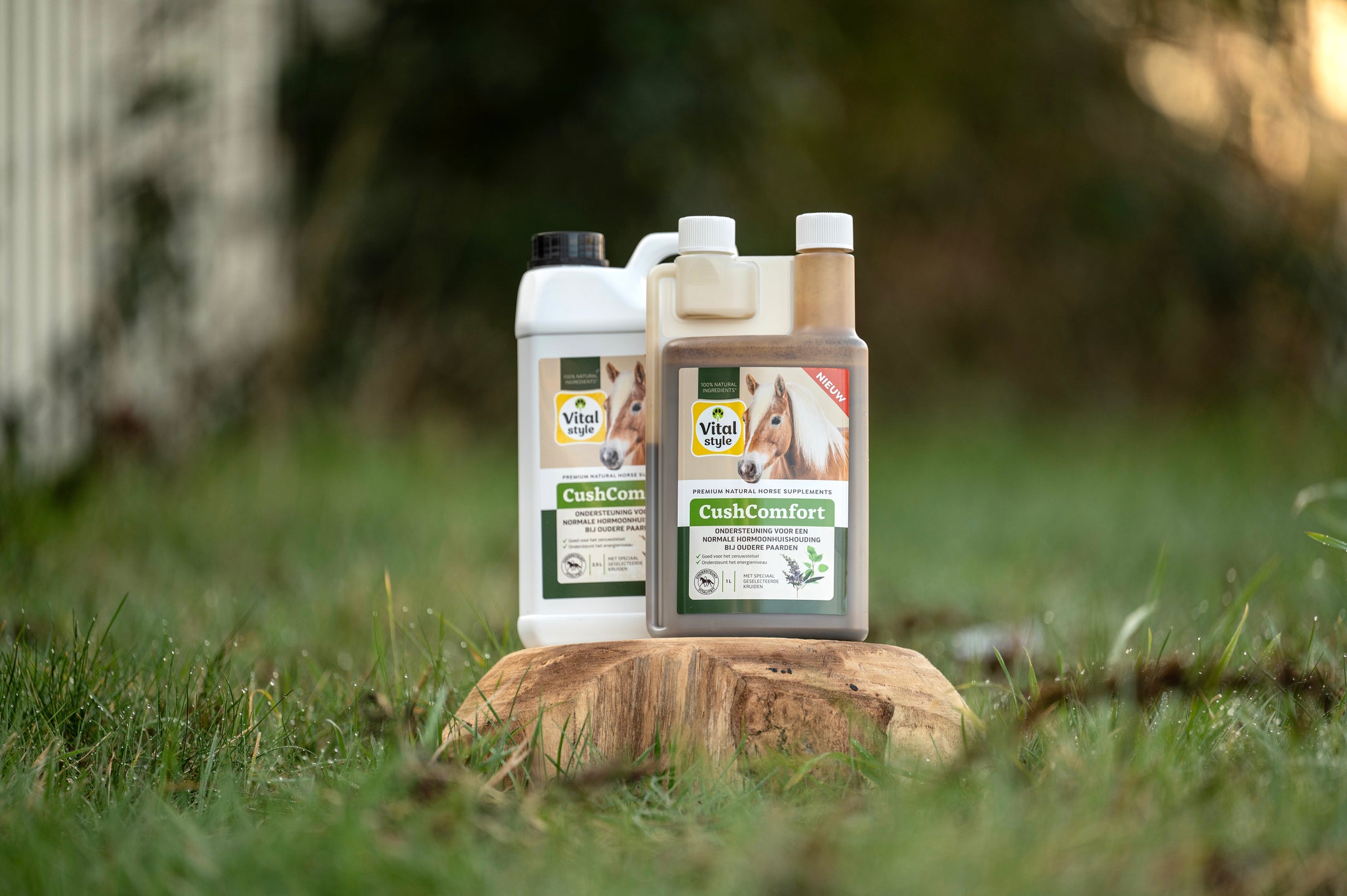 Vieillir en pleine forme malgré un déséquilibre hormonal