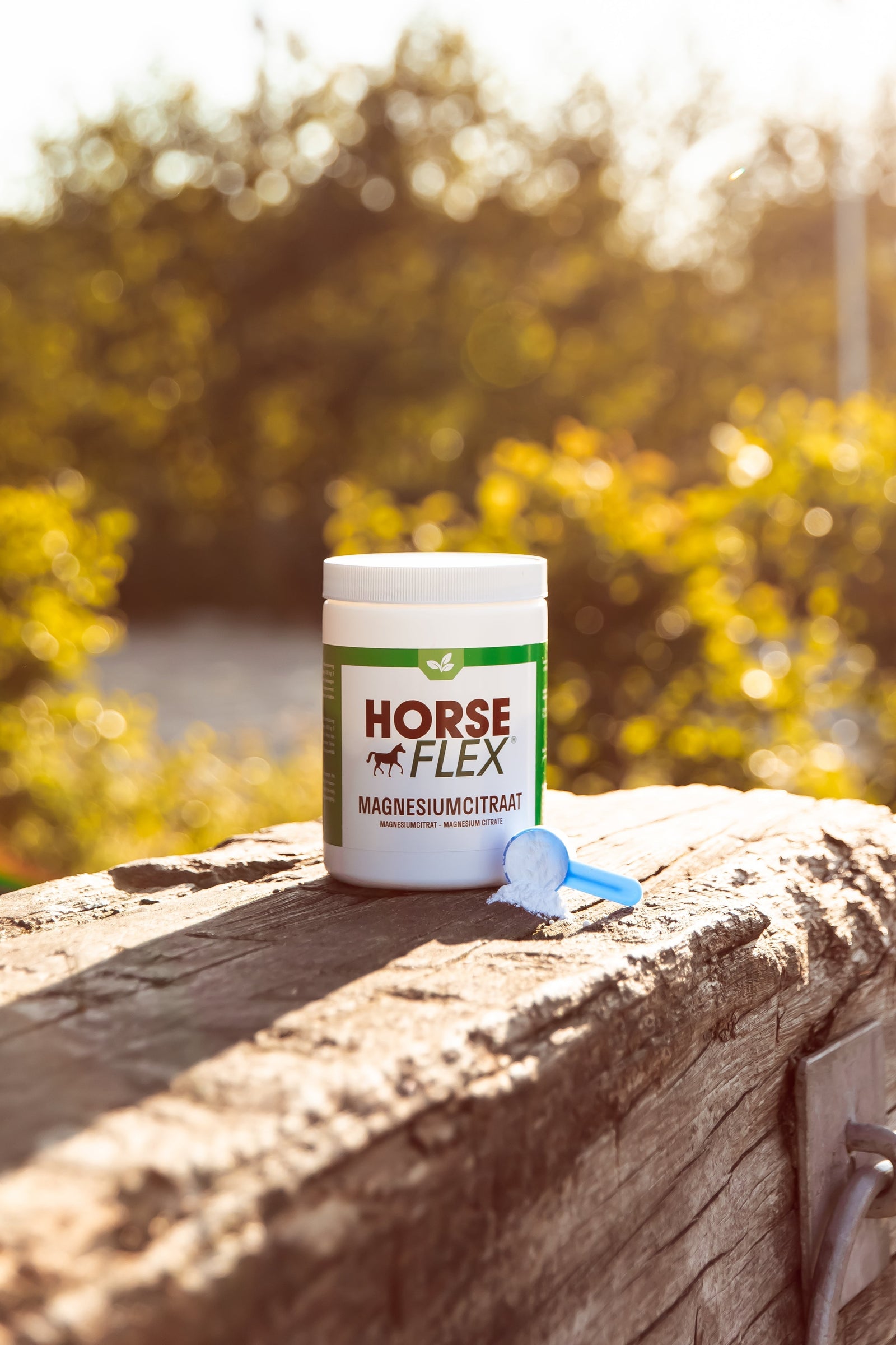 L'importance du magnésium pour ton cheval