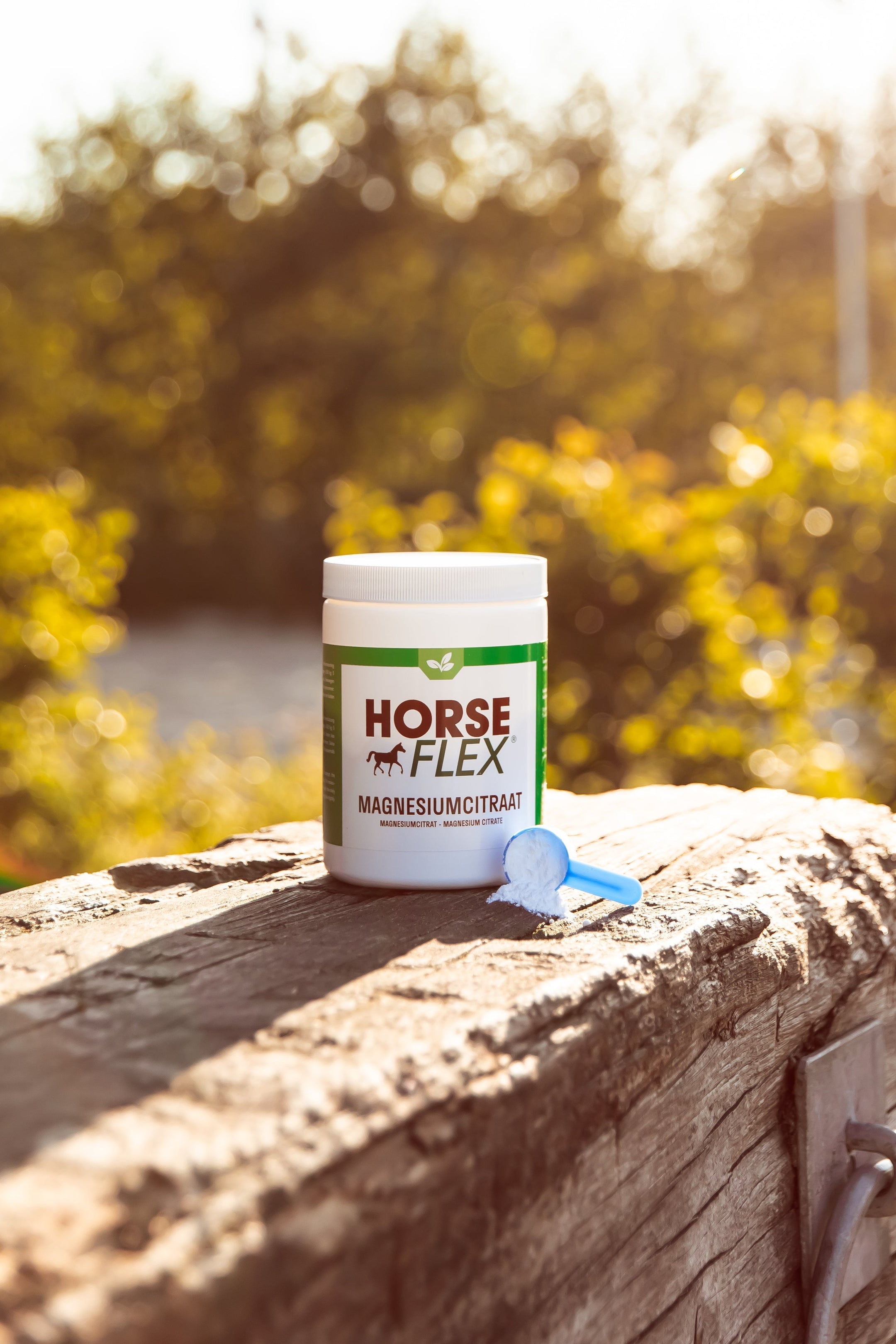 L'importance du magnésium pour ton cheval