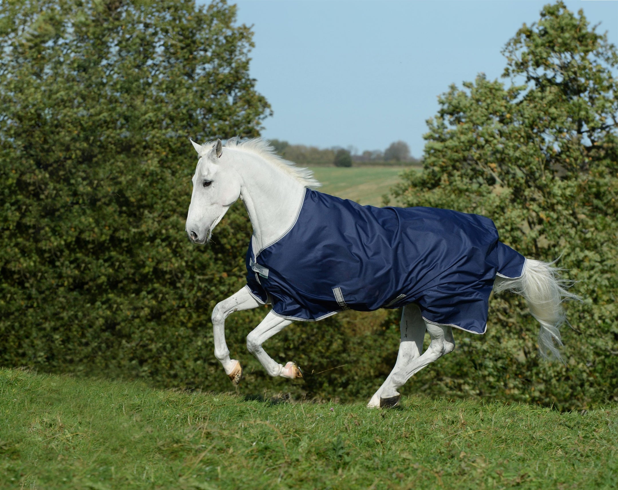 Conseils pour ranger votre tapis d'hiver pour le printemps !