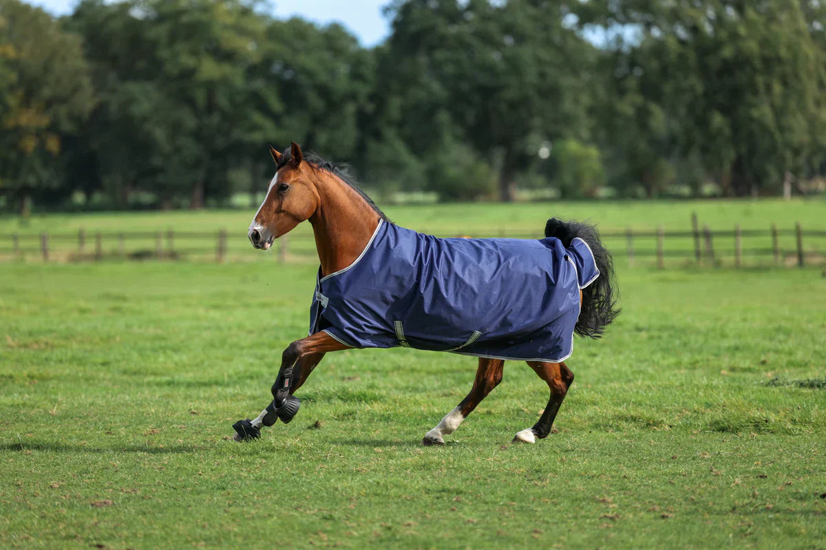 Préparez-vous de manière optimale pour la saison froide et humide !