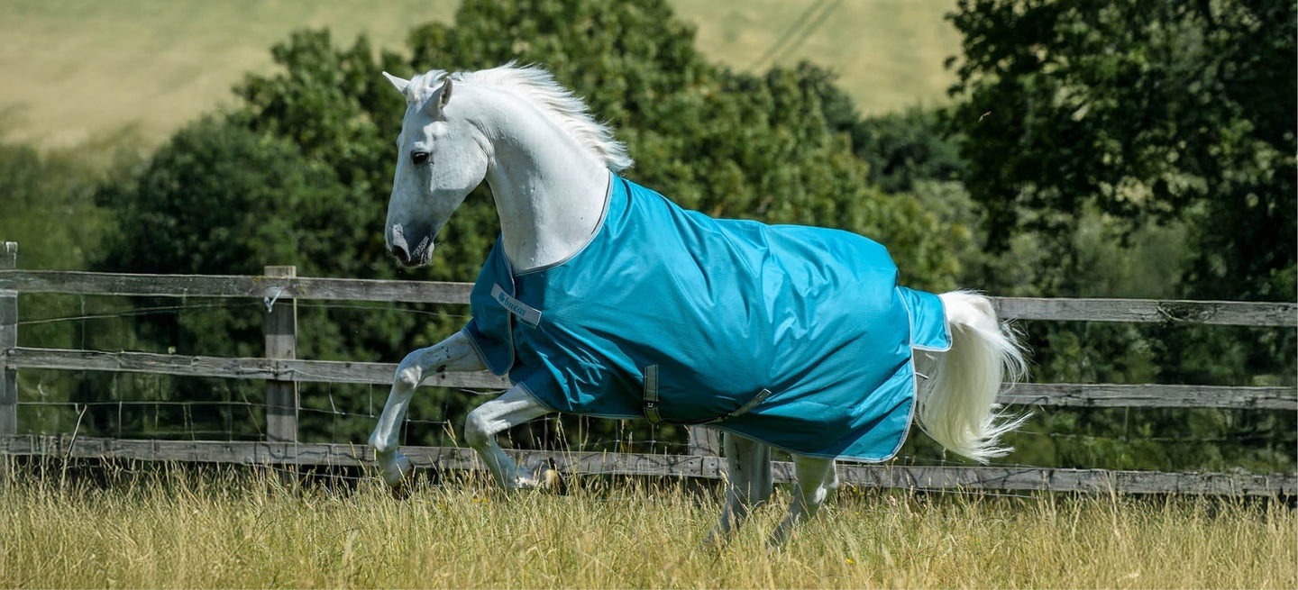 Comment entretenir au mieux une couverture pour cheval ?