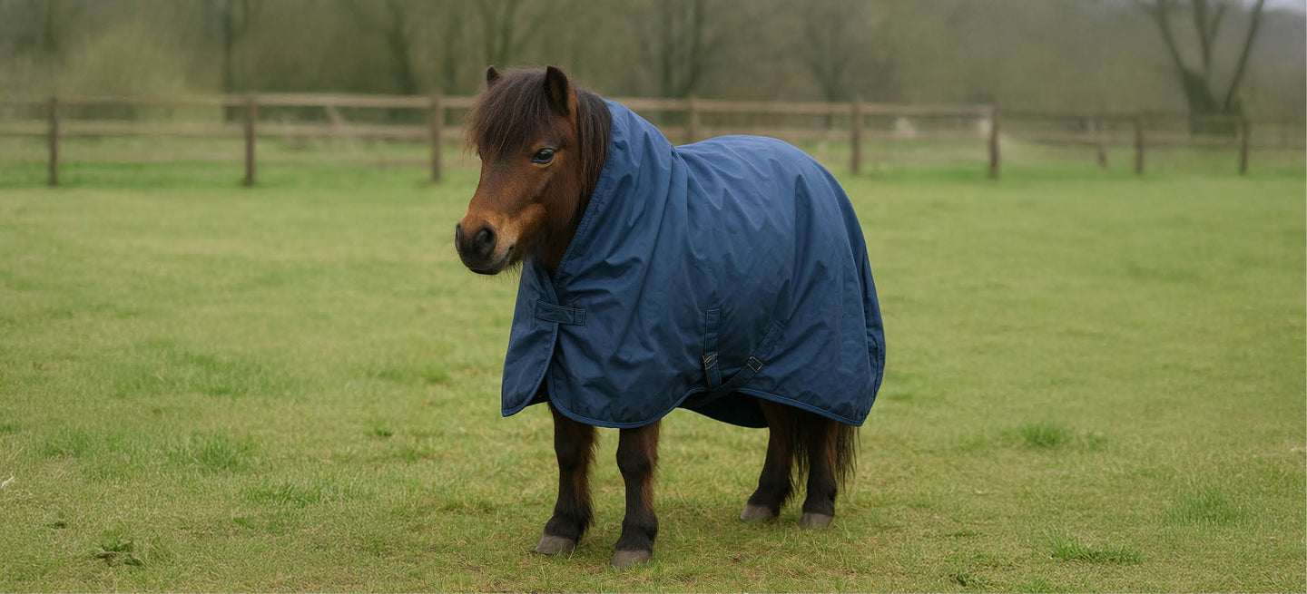 Comment connaître la bonne taille de couverture pour votre cheval ?