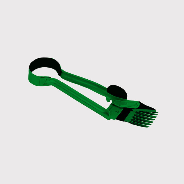 Ovins et Caprins Ovins et Caprins