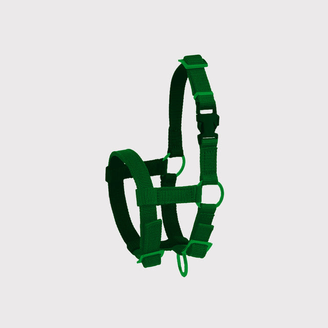 Licols pour le bétail Licols pour le bétail