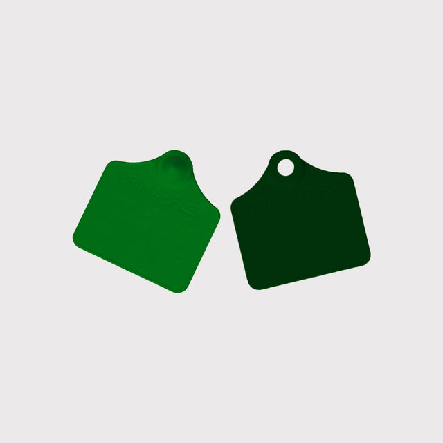 Marquage des Bovins Marquage des Bovins