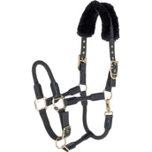 Covalliero Licol Anniversary Graphite Covalliero Licol Anniversary Graphite