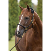 Covalliero Licol Anniversary Graphite Covalliero Licol Anniversary Graphite