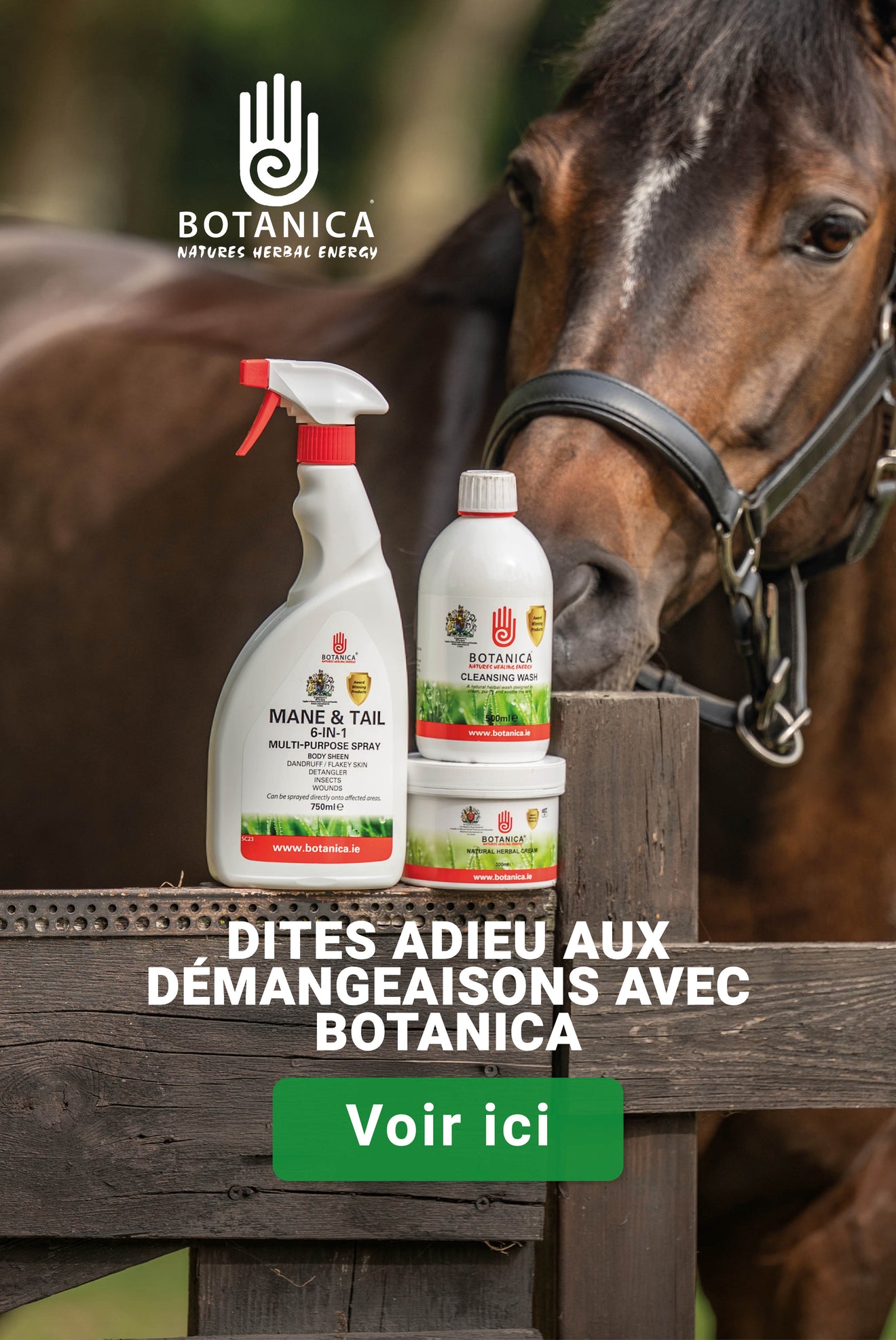 Botanica Botanica