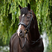 HB Ensemble Bride Special for You Noir HB Ensemble Bride Special for You Noir