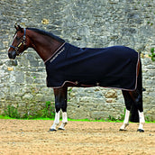 Rambo Airmax Cooler Disk Front Noir/Tant/Orange Rambo Airmax Cooler Disk Front Noir/Tant/Orange