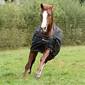 Bucas Irish Turnout Light 0g Noir/Or Bucas Irish Turnout Light 0g Noir/Or