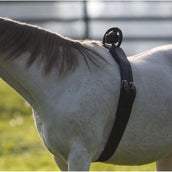 Birth Alarm Surfaix Complet Avec Sangle Standard Birth Alarm Surfaix Complet Avec Sangle Standard