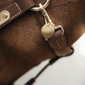 Kentucky Plaque de Nom Or Kentucky Plaque de Nom Or