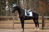 Showtime Tapis de Selle Spring Dressage Bleu clair Showtime Tapis de Selle Spring Dressage Bleu clair