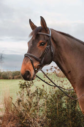 Dyon Rênes 1/2 7 Stops Fermeture par anneau Marron Dyon Rênes 1/2 7 Stops Fermeture par anneau Marron