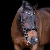 Imperial Riding Ensemble Bride IRHAthena Noir Imperial Riding Ensemble Bride IRHAthena Noir