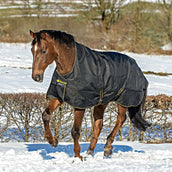 Bucas Irish Turnout Extra High Neck 300g Noir/Or Bucas Irish Turnout Extra High Neck 300g Noir/Or