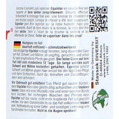 Stassek Recharge Equistar Stassek Recharge Equistar