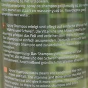 Rapide Shampooing Rapide Shampooing