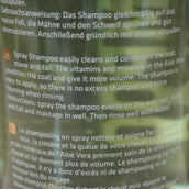 Rapide Shampooing Rapide Shampooing