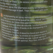 Rapide Shampooing Rapide Shampooing