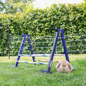 Kerbl Obstacle combiné Agility 2 Kerbl Obstacle combiné Agility 2