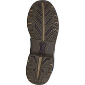 Ariat Chaussures d'Écurie Telluride II H2O Marron foncé Ariat Chaussures d'Écurie Telluride II H2O Marron foncé