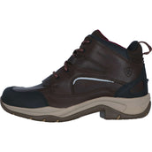 Ariat Chaussures d'Écurie Telluride II H2O Marron foncé Ariat Chaussures d'Écurie Telluride II H2O Marron foncé