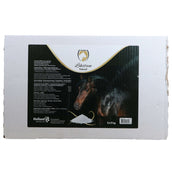 Excellent Horse Pierre à Lécher Natural Excellent Horse Pierre à Lécher Natural