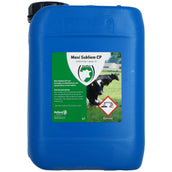 Excellent Maxi Sublime CP 1 sur 8 Excellent Maxi Sublime CP 1 sur 8