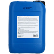 Excellent Maxi Sublime CP 1 sur 8 Excellent Maxi Sublime CP 1 sur 8