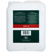 Grand National Shampooing Equipe Grand National Shampooing Equipe