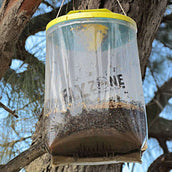 Insective Sac à Mouche Insective Sac à Mouche