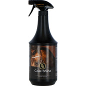 BR Couche Brillance Spray BR Couche Brillance Spray