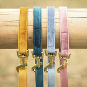 Kentucky Laisse pour Chien velours Old Rose Kentucky Laisse pour Chien velours Old Rose