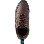 BR Chaussures d'Écurie Cavan Marron BR Chaussures d'Écurie Cavan Marron