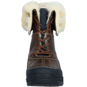 BR Chaussures d'Écurie Roosky Marron BR Chaussures d'Écurie Roosky Marron