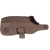 Back on Track Couverture pour Chien Haze Marron Back on Track Couverture pour Chien Haze Marron