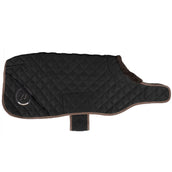 Back on Track Couverture pour Chien Haze Marron Back on Track Couverture pour Chien Haze Marron