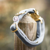 Kentucky Collier velours Bleu clair Kentucky Collier velours Bleu clair