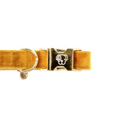 Kentucky Collier velours Moutarde Kentucky Collier velours Moutarde