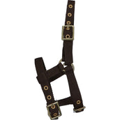 Norton Licol Mini Réglable Marron Norton Licol Mini Réglable Marron