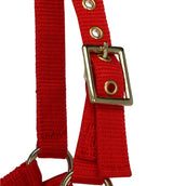 Norton Licol Mini Réglable Rouge Norton Licol Mini Réglable Rouge