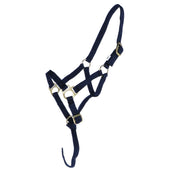 Norton Licol pour Poulain avec Ligne Marin Norton Licol pour Poulain avec Ligne Marin