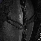 HB Couverture de Concours Desire160gr Bleu Acier HB Couverture de Concours Desire160gr Bleu Acier