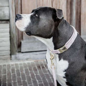 Kentucky Laisse pour Chien velours Soft Rose Kentucky Laisse pour Chien velours Soft Rose